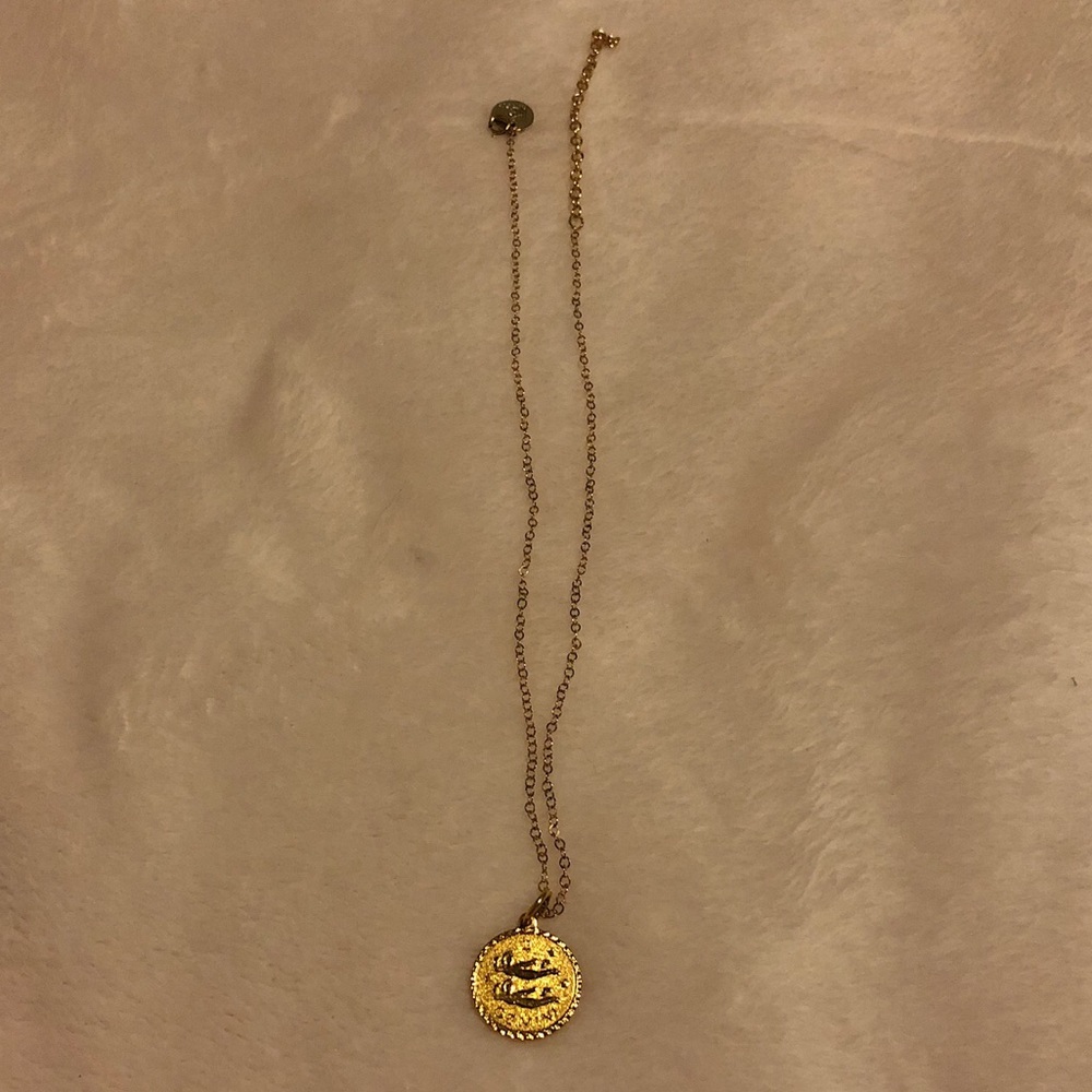 😊 Gemini Zodiac Necklace